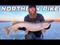 Video Thumbnail for Chasing Ice Dinosaurs / How To Locate Big Fish