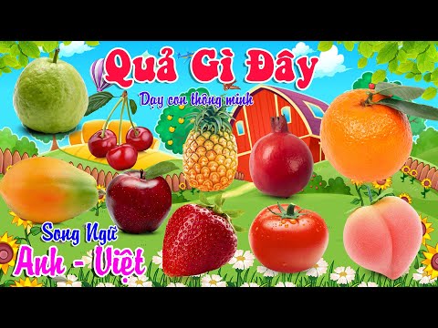 Quả Gì Đây - Dạy Bé Nhận Biết Các Loại Hoa Quả Trái Cây - Song Ngữ Anh Việt