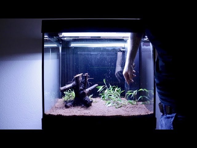 Setting up my new 50 Gallon Fish Tank Aquarium | Juwel Lido 200