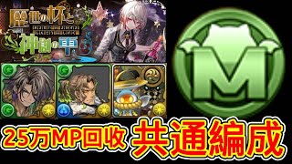 【パズドラ】歴世の杯と神創の雫！大宴会！上級！歴世の杯と神創の雫コロシアム！シロキセイリュウ 降臨！F91編成！共通編成！余裕！安定！攻略【実況】#shorts