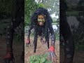 Super Hero Labubu