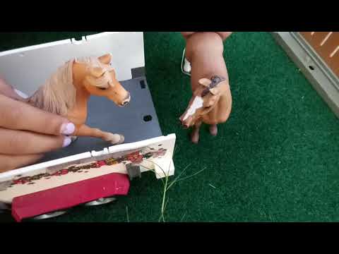 Schlich short film: Too many secrets