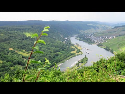 ENKIRCH  (Mosel) : 12,8 km wandelen op het Leiermannspad