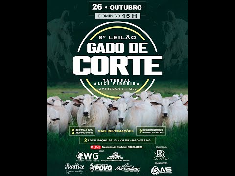 Leilão de Gado  -  8º Leilão Gado de Corte  RR Leilões