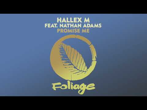 Hallex M feat. Nathan Adams – Promise Me (Vocal Mix)
