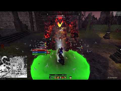 ESO - Stamina Dragonknight Bow+Bow (91k+ on Raid Dummy) - Elsweyr