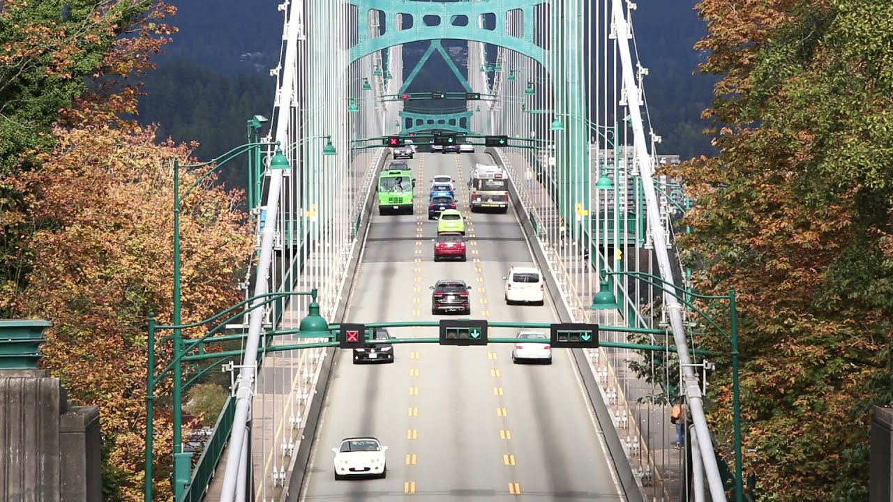 Bridge Activity |Free Stock Video