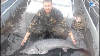 Соревнования по рыбалке в великом новгороде