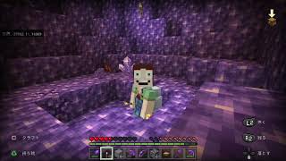 素人マイクラ実況＃496　新ブロック　アメジストの部屋発見