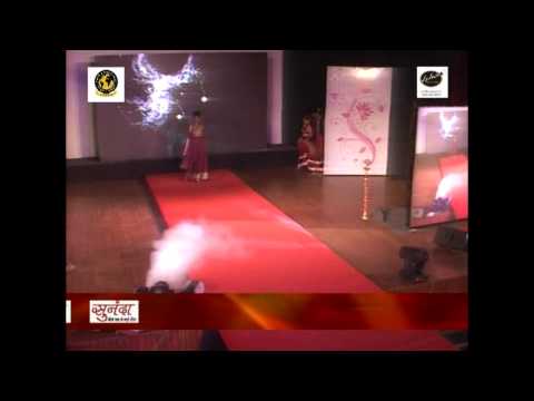 hbo carnival in Jaipur 1st jan 2013  hbo aihba rajasthan. video