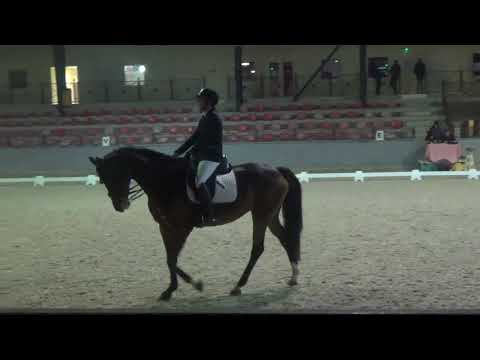 Lady Butterfly Amateur 2A (C3) à Ronchin 21112021