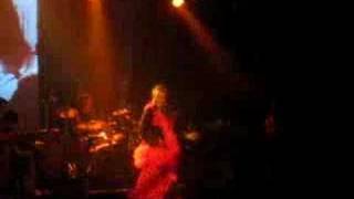 Ojos de Brujo - Ventilador rumba 80