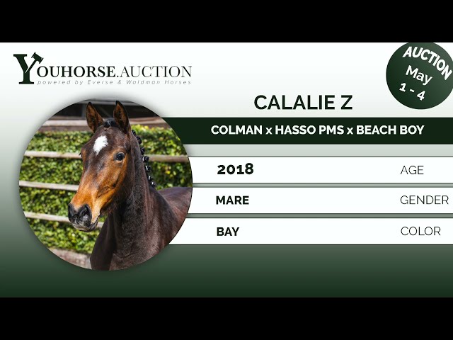 Calalie Z