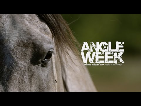 Angleweek 2017 - Original video by FLY4LIFE