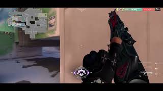 One Week VALORANT Highlight#13