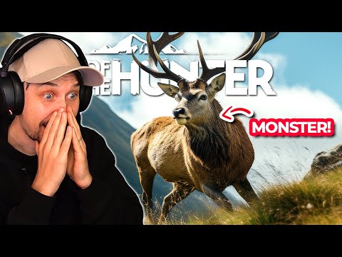 Ich war zum ersten Mal auf Neuseeland und bin sprachlos - Way of the Hunter