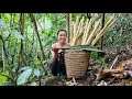 Harvesting Wild Rattan Trees & Crafting household items to Goes to market to sell | Trieu Mai Huong