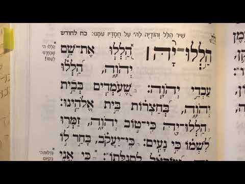 Tehillim psalm 135 תהלים קלה