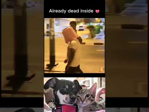 🤣👌2026 pov Must-Watch Crazy Clips Compilation #humor #fypシ #pov #fyp #foryou 😍😜