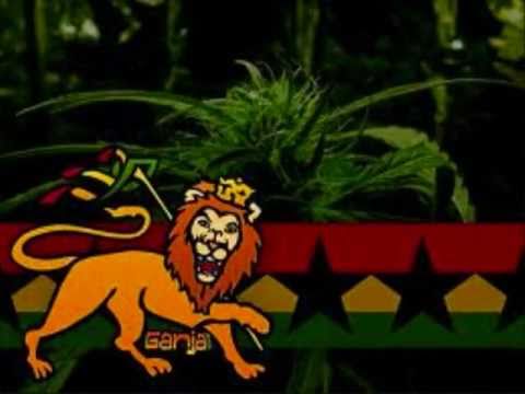 Wild Life - Wi Lock Down - Reggae