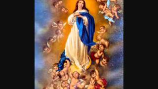 O Sanctissima_0004.wmv