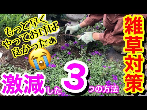 バラの根元に雑草対策として何を置くか？  庭園