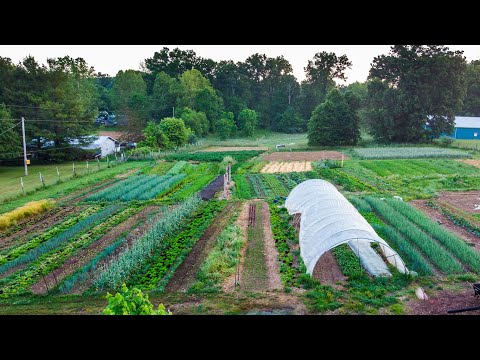 , title : 'How to Start a Small Farm | A Step-by-Step Guide'