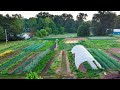 How to Start a Small Farm | A Step-by-Step Guide