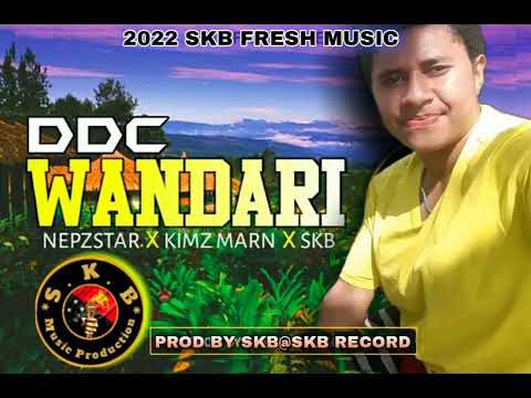 DDC WANDARI | NEPSTER KIMZ | MAN SPENSER BEE|🇵🇬🎶2023