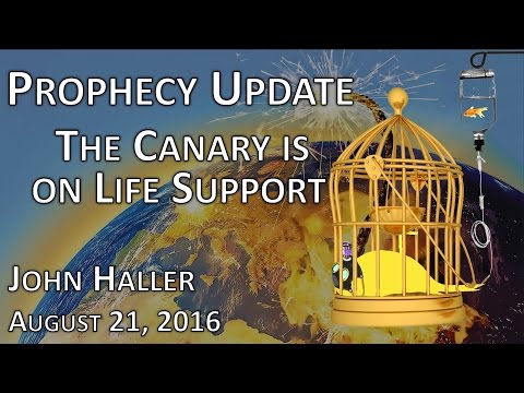 2016 08 21 John Haller's Prophecy Update "The Canary is on Life Support"