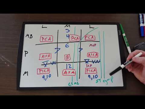 Brain stem lesions chart for Neuro review Step 1