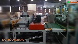 DÂY CHUYỀN MÁY LÀM CÁNH CỬA VÁN CÔNG NGHIỆP. DÂY CHUYỀN ÉP NÓNG 2 MẶT ÉP RỖNG GIẢ DÀY WOODMASTER