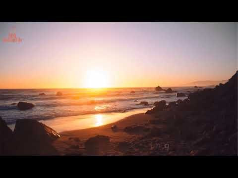 [HQ Music] Coffee Audiophile Musics Vol.02