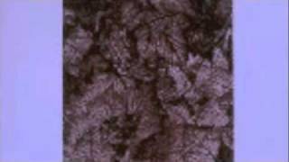 Eyeless In Gaza - Bright Play Of Eyes