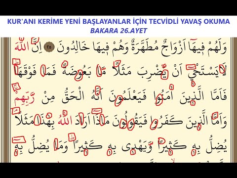 Slow reading of the Holy Quran with tajweed for beginners, Al-Baqarah verse 26
