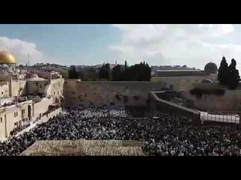 Birchas Kohanim @ Kosel Sukkos 2016