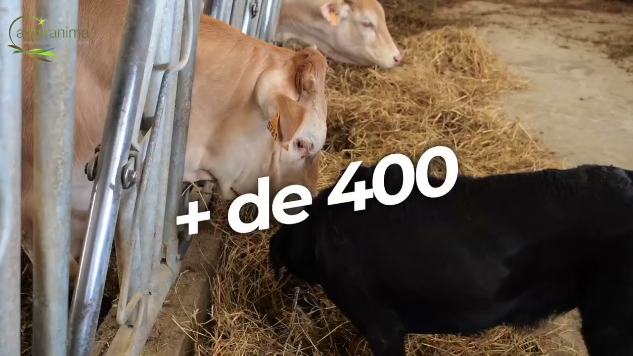 Du 18 au 26 mai : Aquitanima accueille plus de 400 animaux [contenu partenaire]