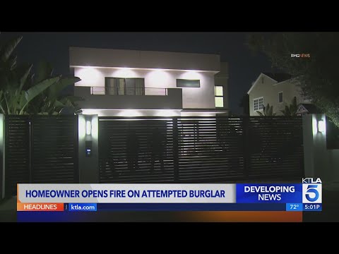 Homeowner opens fire on attempted burglar