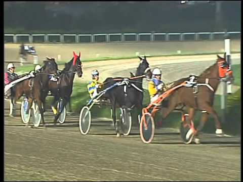 Trotto 19/11/2015 - 7° corsa