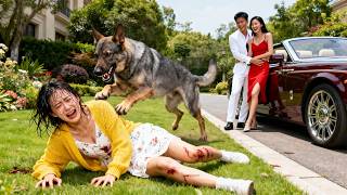 Haar uitbuitende ouders logen tegen haar en beweerden dat ze arm waren en haar sober opvoedden, terwijl ze haar jongere zusje verwenden. Haar familie had geen hoop op succes, maar zij was de meest ambitieuze. Uiteindelijk werd ze wakker, verbrak ze de banden met haar familie en veranderde ze haar leven. Ze trouwde vervolgens met een CEO die acht jaar ouder was dan zij, aanvankelijk denkend dat het slechts een affaire was voor wederzijds voordeel, maar ze had geen idee dat ze na haar huwelijk enorm verwend zou worden.#Verfrissende roman#SweetPet