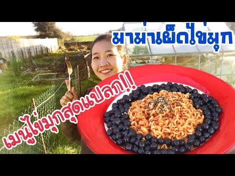 คลิกเพื่อดูคลิปวิดีโอ