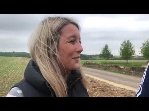 Star Sports Greyhound Derby: KINGSBROOK GLYN