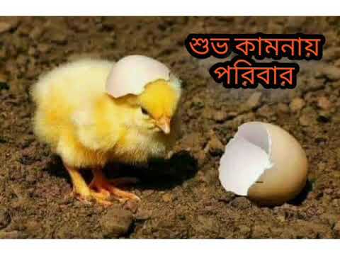 jumana morium birthday 2020/11/4