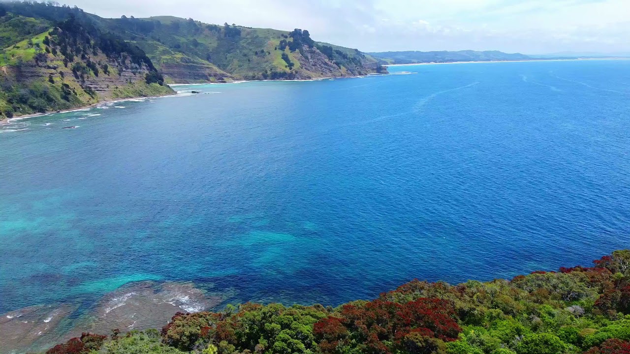 Experience the astounding aerial vistas of Goat Island Marine Reserve.