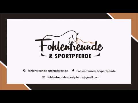 "Mon Royal"HF von Morricone III x Royal Diamond