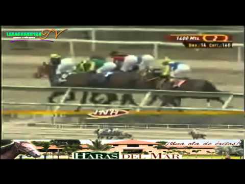 la rinconada 2 carrera domingo 02 de marzo del 2014