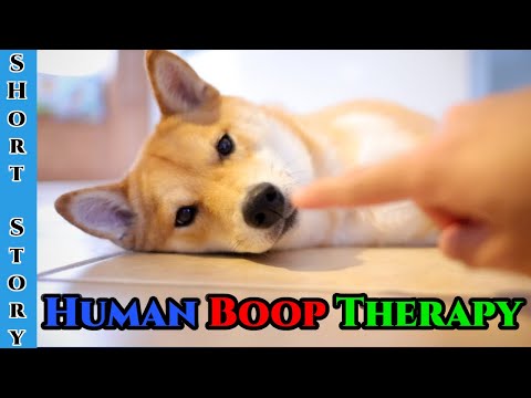 Guest Narration by Nesten - Presence or Human Boop Therapy| HFY | Humans Are Space Orcs