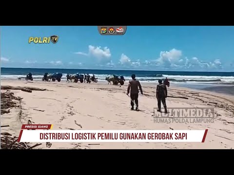 DISTRIBUSI LOGISTIK PEMILU KE DAERAH TERPENCIL GUNAKAN GEROBAK SAPI