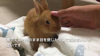 【第1回】モカちゃんまとめ！