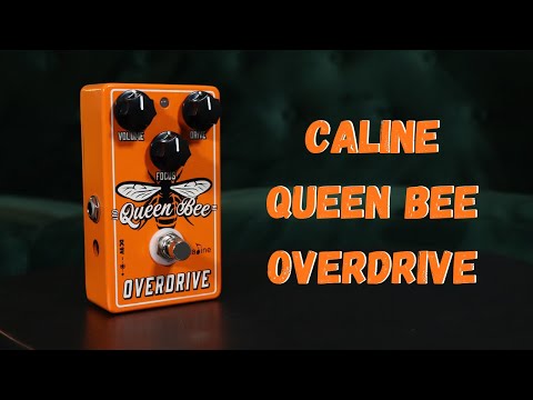 Caline CP-503 Queen Bee Overdrive Player Favorite  Fast US Ship image 6
